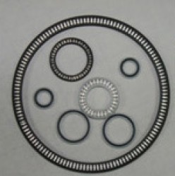 PTFE Spring Enegized seals